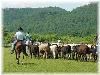 French Broad Outpost Ranch, Del Rio