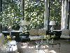 The Kent-Valentine House, Richmond — Sunporch, a delightful space for brunch.