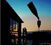 Captured Moments Photography by Angela Murray, Kelowna — A tender moment at Summerhill Winery in Kelowna, BC.