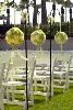 Green Lily Events, Houston — Outdoor Wedding