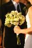 Green Lily Events, Houston