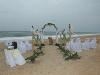Lora Lynne's Weddings, Daytona Beach — This is example of one of my Platinum All Inclusive Beach Packages. I have serveral Beach packages with different setups at various price points. Also offer a garden package and coming soon a Dream Wedding All Inclusive package , including ceremony , decorations, venue , reception and honey moon sweet for 50 people. Contact Lora Lynne for more info. Keep checking the website in May.