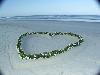 Lora Lynne's Weddings, Daytona Beach