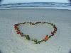 Lora Lynne's Weddings, Daytona Beach