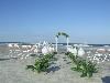 Lora Lynne's Weddings, Daytona Beach