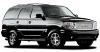 SOHO Limousine, New York — The Executive SUV offers a perfect mix of comfort and style. The spacious and impressive SUV offers tremendous seating and luggage capacity.