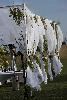 Growers Garden Event Designer, Florals & Rentals, Portland — Wedding and Event Design, Props, Rentals, Linens, Lighting,Floral