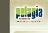 Pelagia Trattoria, Tampa — Pelagia Trattoria serves Mediterranean style fine dining for breakfast, lunch, and dinner.  Experience Pelagia Trattoria today.