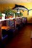 MoonFish, Orlando