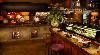 MoonFish, Orlando