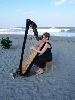 The Elegant Harp, West Palm Beach — Even a beach wedding can be accommodated with Esther's "Beach Harp".