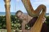The Elegant Harp, West Palm Beach