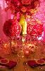 Jose Graterol Designs, Inc., Miami — Passionate artistry
Attentive personal service
Sophisticated settings
Stylish, exciting environments
Innovative floral design
Original custom style
Nature’s inspirations