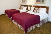 La Quinta Inn & Suites Valdosta, Valdosta — Relax in our spacious rooms on our pillow-top matresses with triple-sheeted bedding! We have both poolside & non-poolside rooms upon request. This room type has two queen beds to accomodate families or any person traveling with another guest.