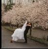 Mowerys Photography, Seattle — Spontaneous moments captures on your special day!