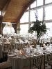 Megan Kelly Photography, Geneva