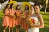 Marry Me Maui Wedding Planners, Wailuku — Maui bride and bridal party at the Olowalu Plantation House.