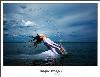 Unique Images Photography, Lethbridge — Dramatic and different wedding portraits.