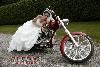 Aurora Photography, Nanaimo — Don't forget to invite your best friend to your wedding!