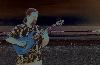 DDH Performs, Tampa — Clearwater Beach 2007 #2