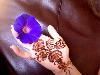 Henna Caravan