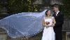 My Wedding Atlanta