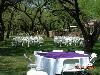 Longhorn Catering, Tucson