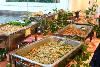 A Alexander Event And Catering, Fort Lauderdale — Photo