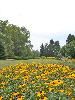 The Garden Courtyard, Spring Grove Cemetery & Arboretum, Cincinnati
