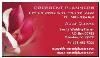 CRESCENT PLANNERS, Lexington — Social services : Weddings, Birthday celebrations, Graduations, Picnic, Showers, Engagements, Anniversaries etc

Corporate services : Retreats, Holiday Parties, Seminars, Workshops, Fundraisers, Product Launches, Marketing etc

If a service you require is not listed, please contact us.   Thank you!!