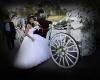 Photography With Heart and Video, Woodland Hills