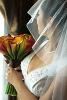 Photography With Heart and Video, Woodland Hills