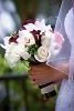 Photography With Heart and Video, Woodland Hills