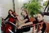 Elegant Musicians, LLC., Hialeah — The Elegant Trio Music Ensemble