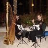 Elegant Musicians, LLC., Hialeah — Flute and Harp Duet