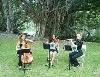 Elegant Musicians, LLC., Hialeah — The Elegant Trio