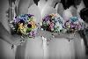 Ziebro Photography, Cleveland — Vivid and elegant imagery serving Cleveland and Akron, Ohio.