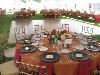 Premier Wedding Planning, Pittsburgh — Very ceative on  small budget under $5,000 for ceremony and reception. We can do it. Any Budget
