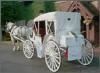 Premier Wedding Planning, Pittsburgh — We can bring you to the ceremony or reception in this.