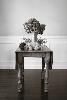 Susan Brewer Photography, Greenville