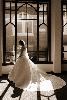 Teresa Price Photography, Edwardsville