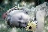 As You Wish,wedding & event planning