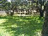 Outdoor Area, The Inn at Wild Rose Hall, Austin