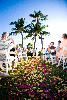 Blue Ocean Weddings, Kihei — Ka'anapali Estate Wedding