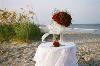 Weddings To Remember, Savannah