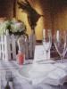 Interior Space, Madison Museum Of Fine Art, Madison — Weddings. Anniversary Dinners. Home school Graduation Ceremonies. Corporate Dinners and Holdiay Parties.