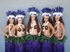 Kaikea Polynesian Entertainment, Brea