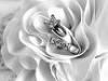 In and Out of Time Bridal Consultant & Special Events