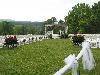 Outdoor Events, Rosa Lee Manor, Pilot Mountain