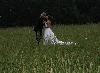 Outdoor Events, Rosa Lee Manor, Pilot Mountain